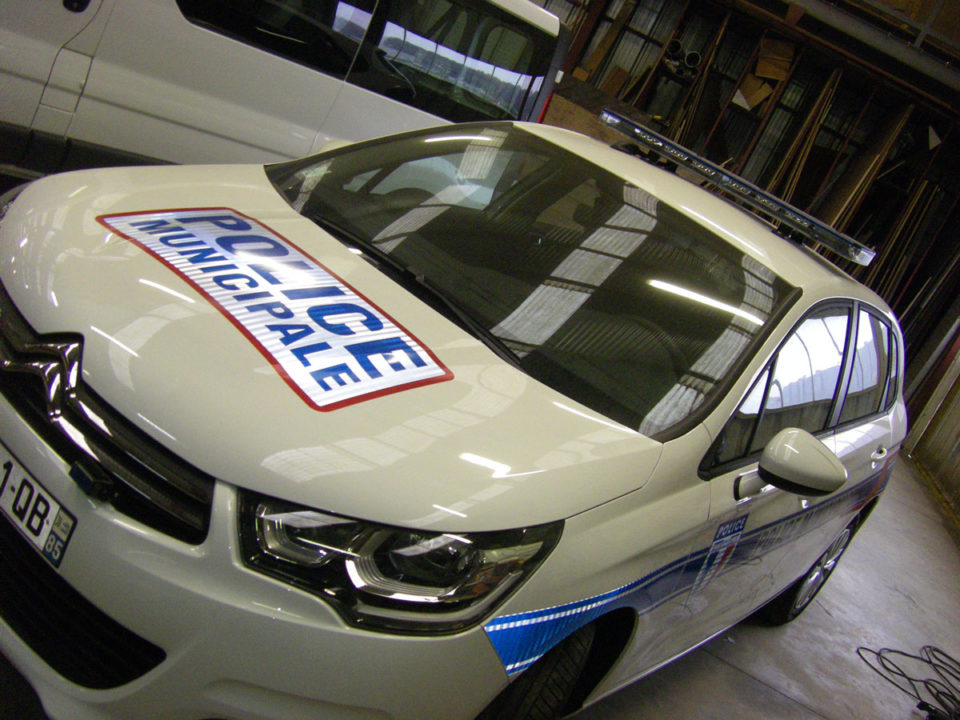 Véhicule institutionnel